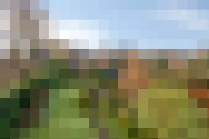 Bareveld 24 Nieuwediep thumbnail 39