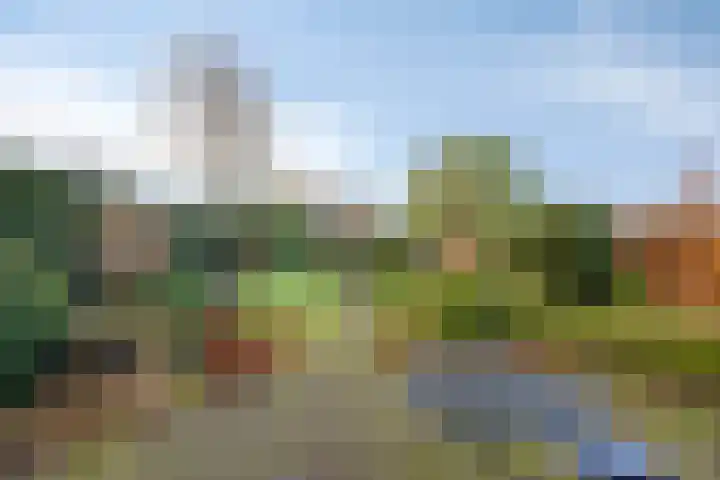 Bareveld 24 Nieuwediep thumbnail 40