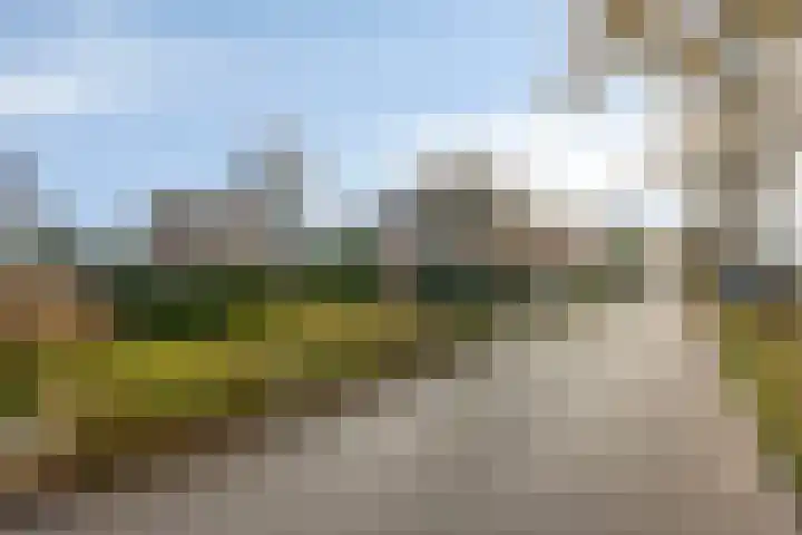 Bareveld 24 Nieuwediep thumbnail 41