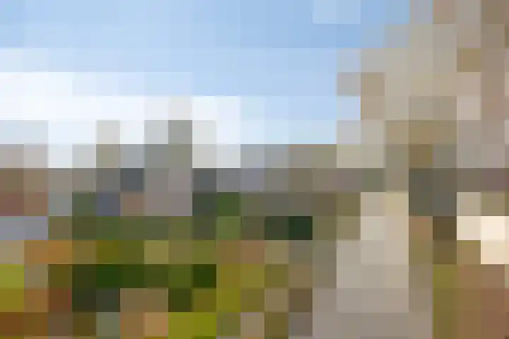 Bareveld 24 Nieuwediep thumbnail 42