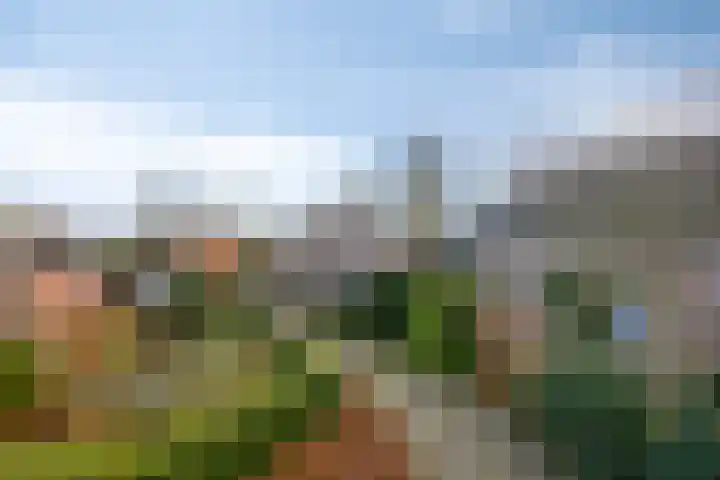 Bareveld 24 Nieuwediep thumbnail 43