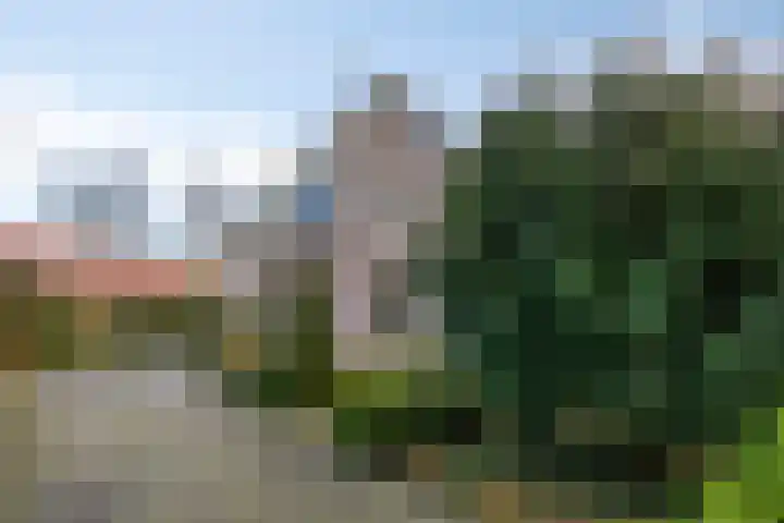 Bareveld 24 Nieuwediep thumbnail 44