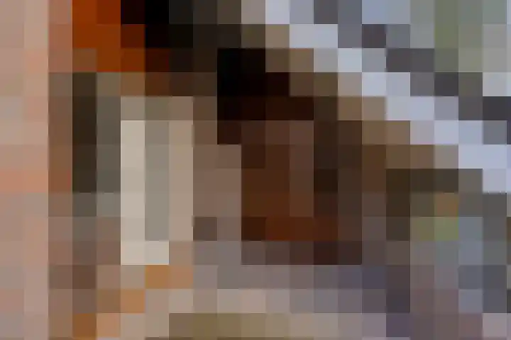 Bareveld 24 Nieuwediep thumbnail 45