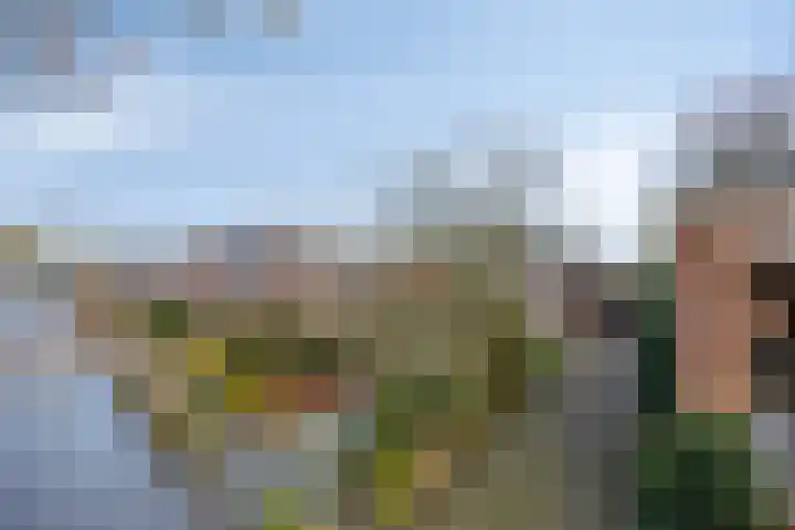 Bareveld 24 Nieuwediep thumbnail 46