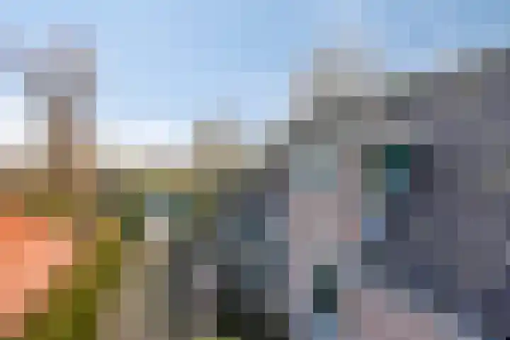 Bareveld 24 Nieuwediep thumbnail 47