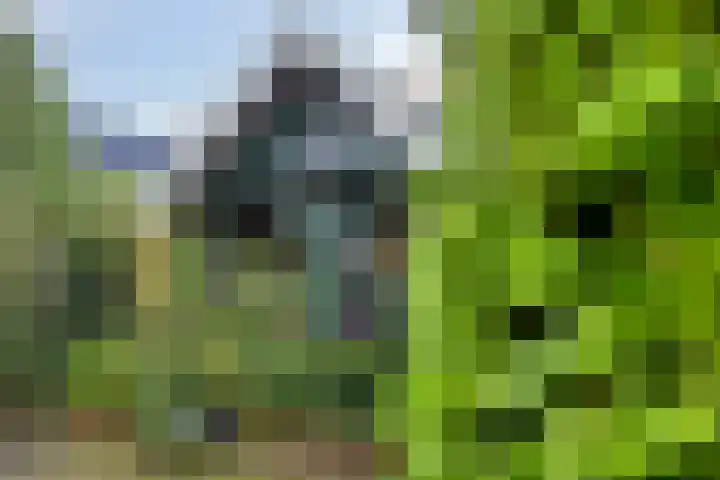 Bareveld 24 Nieuwediep thumbnail 49