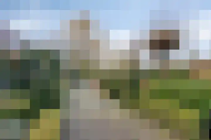 Bareveld 24 Nieuwediep thumbnail 50