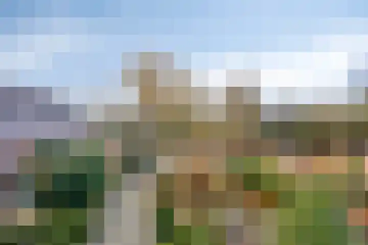 Bareveld 24 Nieuwediep thumbnail 51