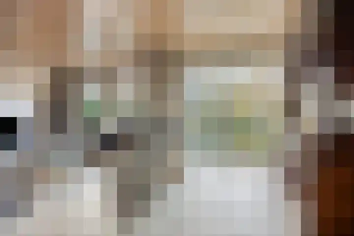 Bareveld 24 Nieuwediep thumbnail 6