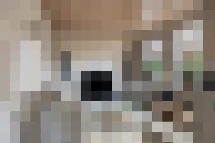 Bareveld 24 Nieuwediep thumbnail 7