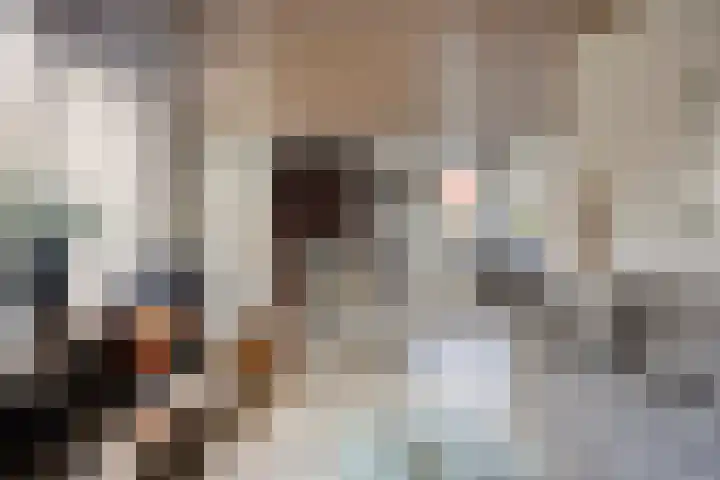 Bareveld 24 Nieuwediep thumbnail 8