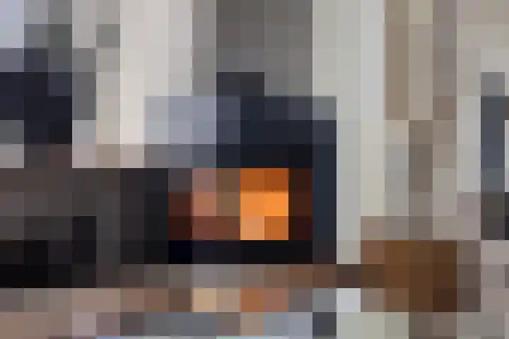 Bareveld 24 Nieuwediep thumbnail 9