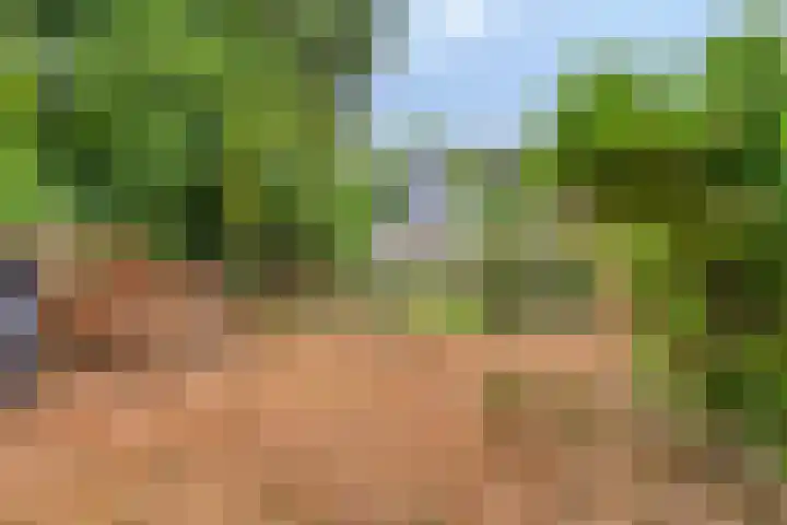 Bareveldstraat 11 Wildervank thumbnail 21