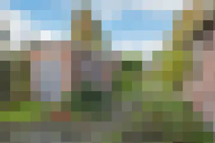 Bareveldstraat 27 Wildervank thumbnail 30