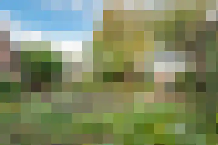 Bareveldstraat 27 Wildervank thumbnail 31
