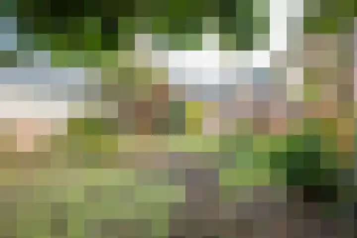 Bareveldstraat 27 Wildervank thumbnail 32
