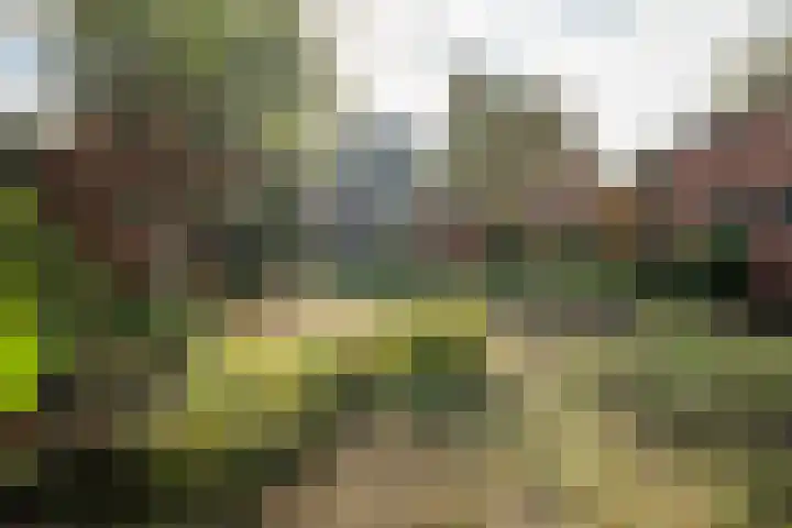 Bareveldstraat 27 Wildervank thumbnail 33