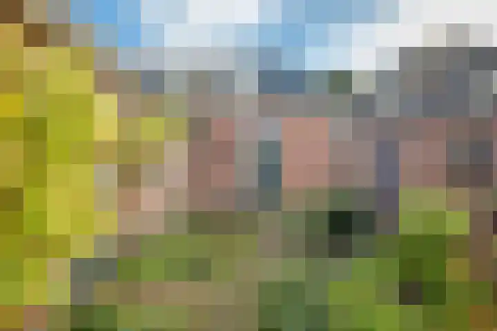 Bareveldstraat 27 Wildervank thumbnail 34
