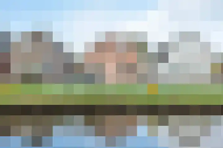 Bareveldstraat 27 Wildervank thumbnail 36