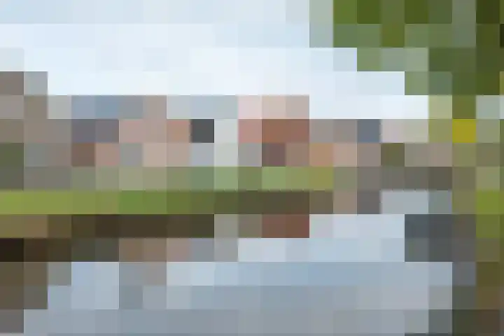 Bareveldstraat 27 Wildervank thumbnail 38