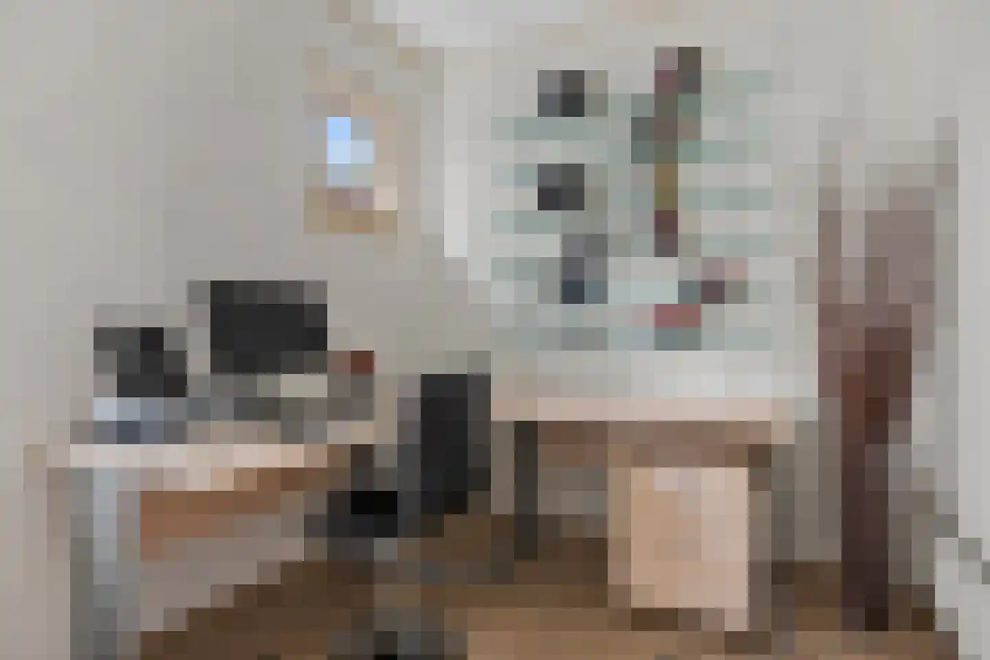 Bareveldstraat 37 Wildervank thumbnail 33
