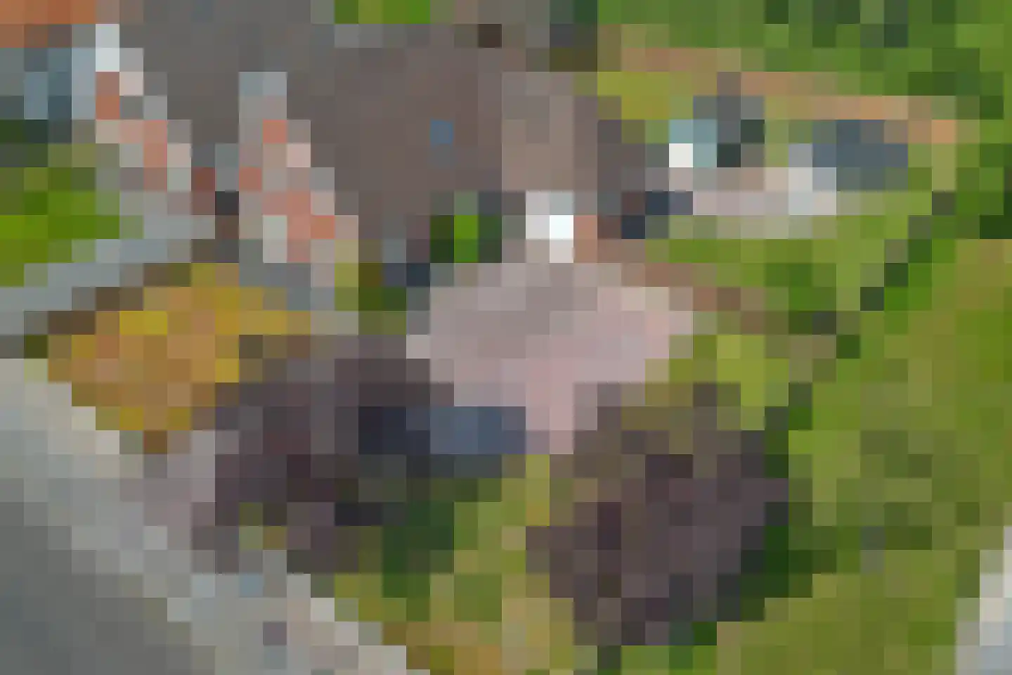 Bareveldstraat 37 Wildervank thumbnail 44