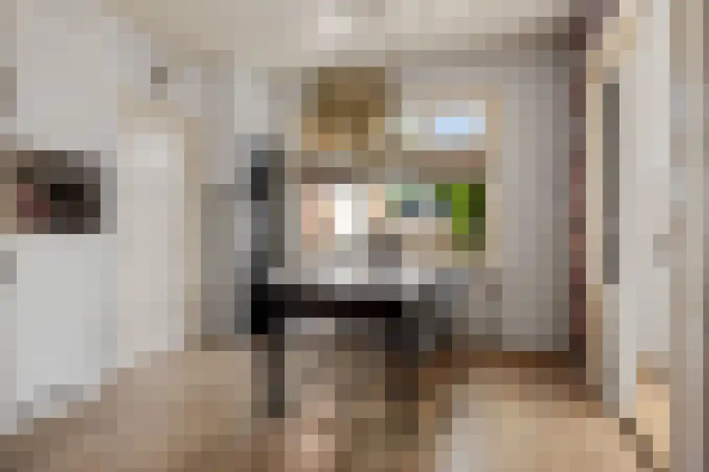 Bareveldstraat 37 Wildervank thumbnail 9
