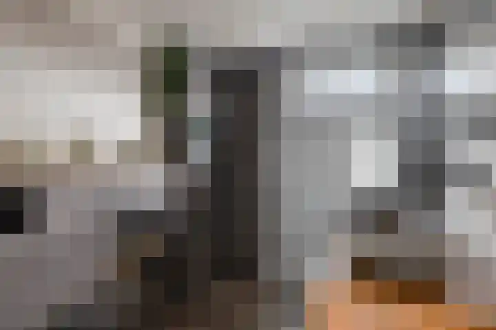 Barg 8 Roelofarendsveen thumbnail 11