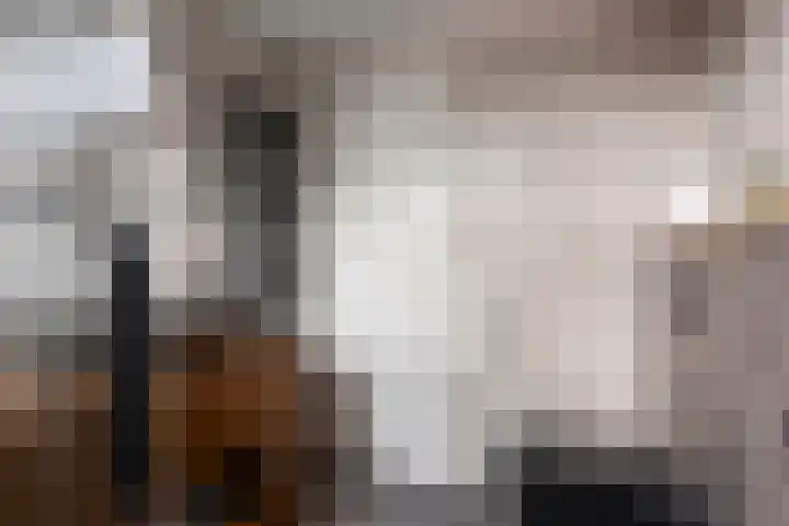 Barg 8 Roelofarendsveen thumbnail 13