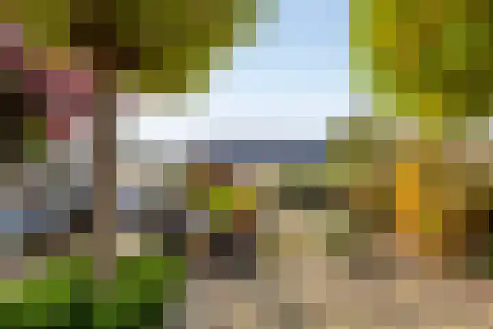 Barg 8 Roelofarendsveen thumbnail 15