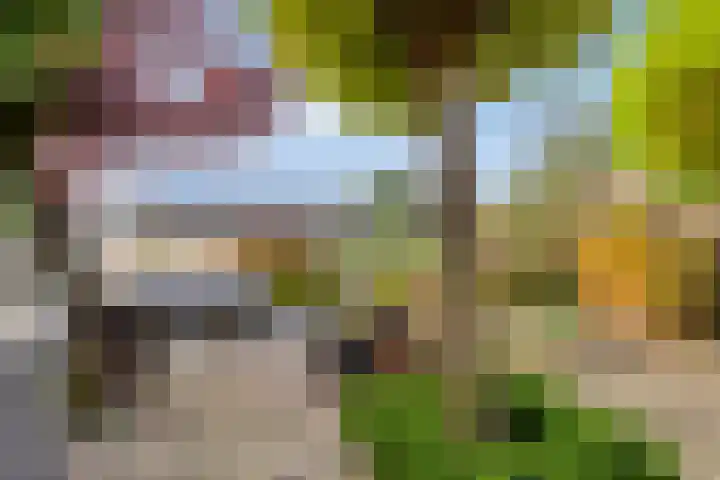 Barg 8 Roelofarendsveen thumbnail 16