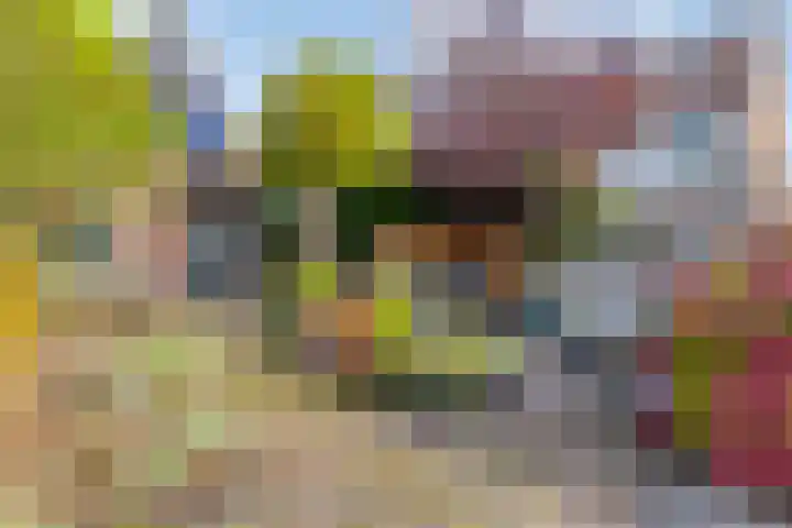 Barg 8 Roelofarendsveen thumbnail 17