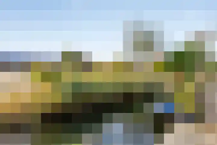 Barg 8 Roelofarendsveen thumbnail 18