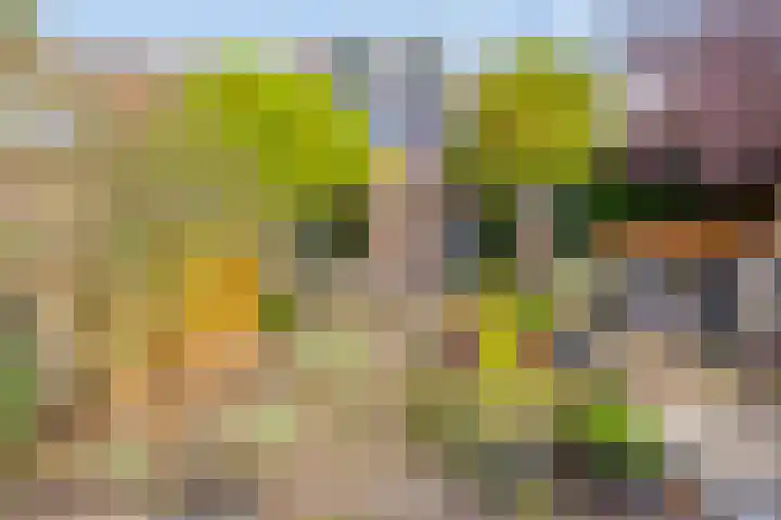 Barg 8 Roelofarendsveen thumbnail 19