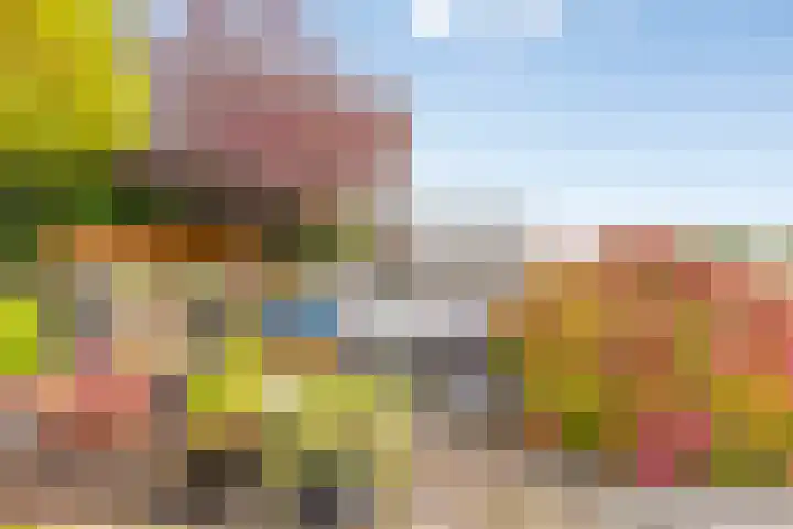 Barg 8 Roelofarendsveen thumbnail 20