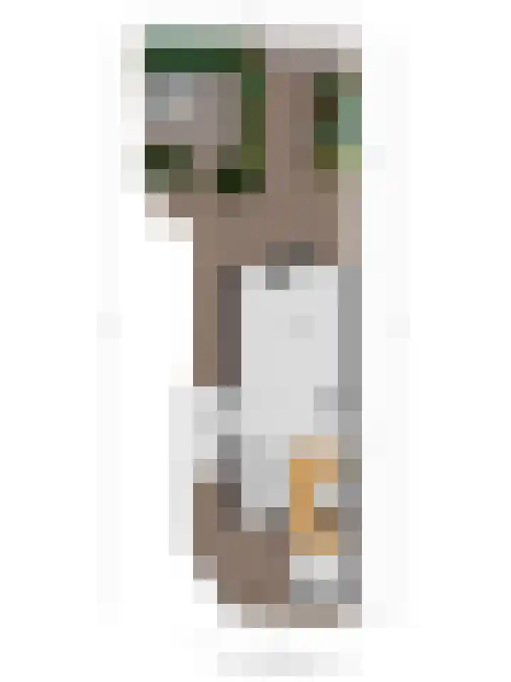 Barg 8 Roelofarendsveen thumbnail 27