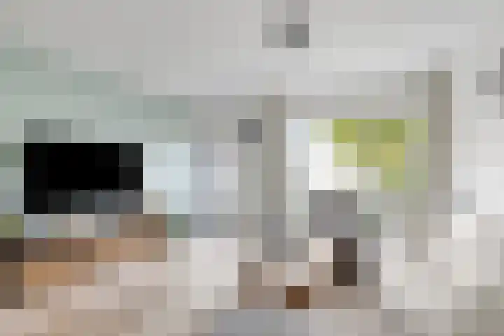 Barg 8 Roelofarendsveen thumbnail 4