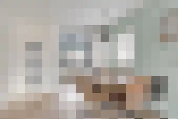 Barg 8 Roelofarendsveen thumbnail 6