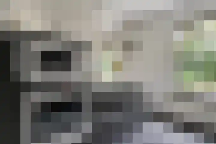 Bargapark 12 a Bergen L thumbnail 16