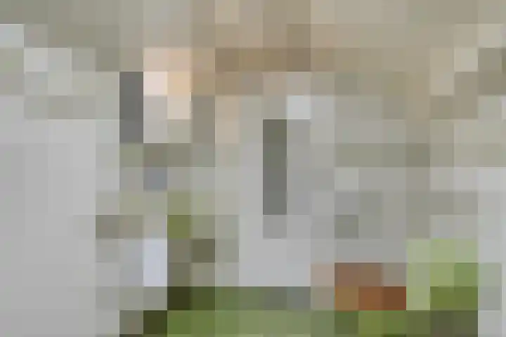 Bargapark 12 a Bergen L thumbnail 33