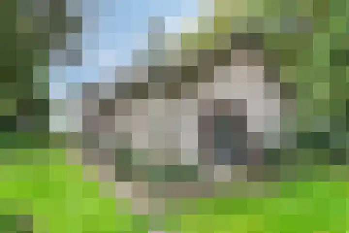 Bargapark 12 a Bergen L thumbnail 34