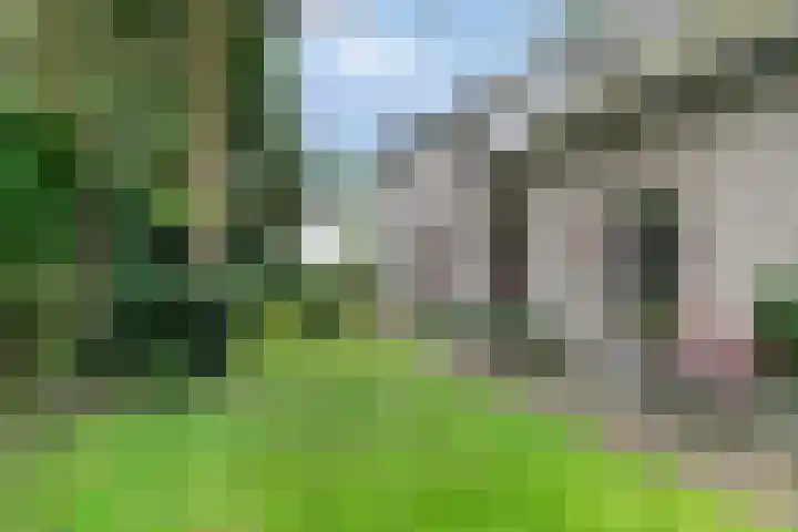 Bargapark 12 a Bergen L thumbnail 35