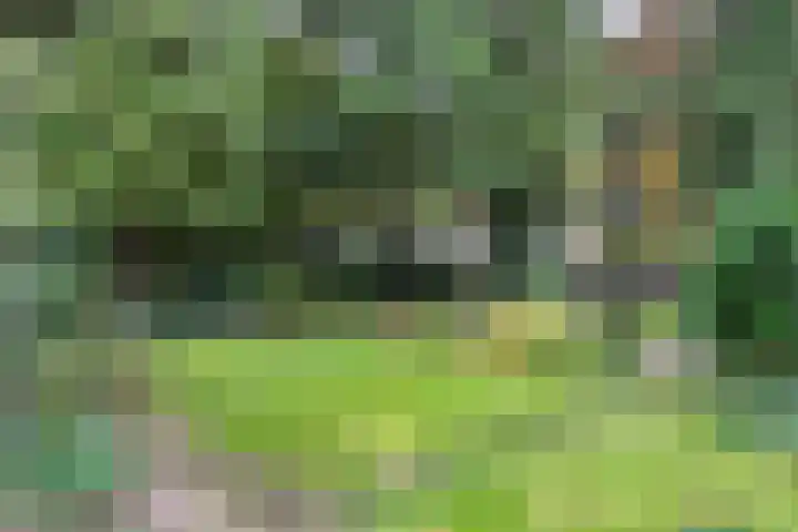 Bargapark 12 a Bergen L thumbnail 37