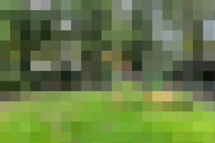 Bargapark 12 a Bergen L thumbnail 39