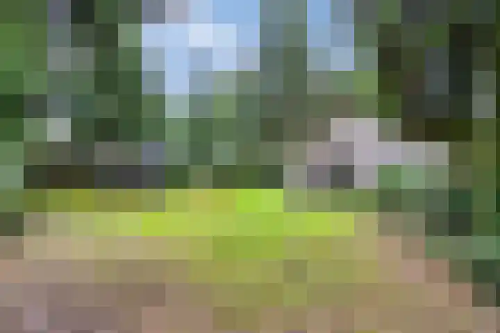 Bargapark 12 a Bergen L thumbnail 40