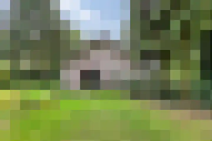 Bargapark 12 a Bergen L thumbnail 41