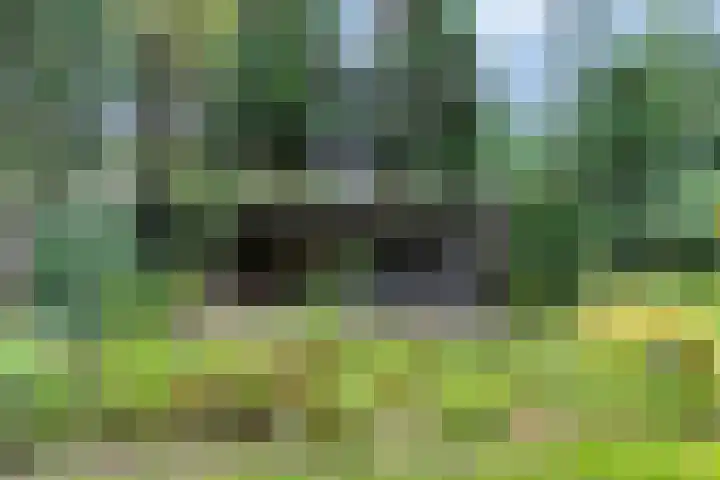 Bargapark 12 a Bergen L thumbnail 42