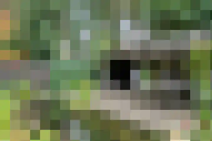 Bargapark 12 a Bergen L thumbnail 43