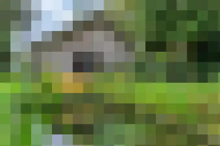Bargapark 12 a Bergen L thumbnail 46