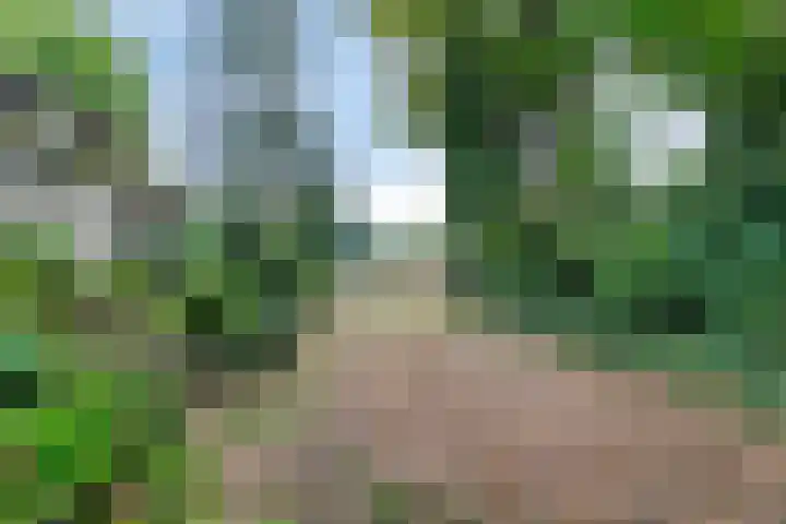 Bargapark 12 a Bergen L thumbnail 47